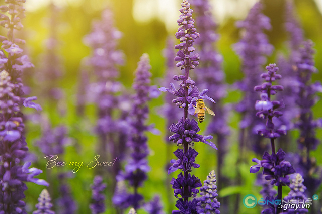 Làm gì để trở thành nhiếp ảnh gia và kiếm tiền trong 30 ngày - Phần 1 - 1162