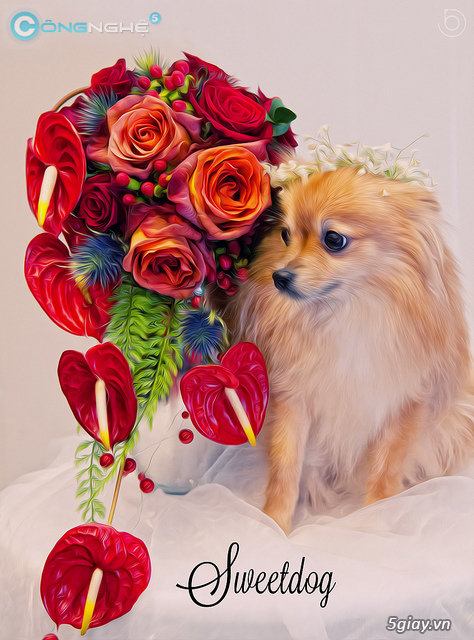 Làm gì để trở thành nhiếp ảnh gia và kiếm tiền trong 30 ngày - Phần 1 - 1165