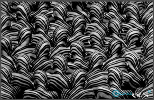 Làm gì để trở thành nhiếp ảnh gia và kiếm tiền trong 30 ngày - Phần 1 - 1145