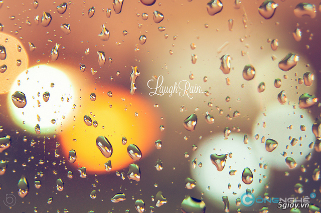 Làm gì để trở thành nhiếp ảnh gia và kiếm tiền trong 30 ngày - Phần 1 - 1161