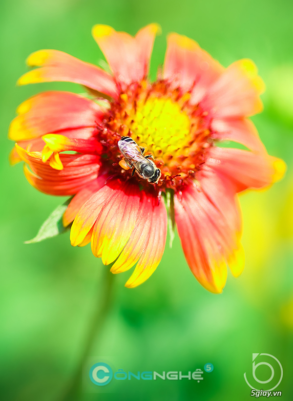 Làm gì để trở thành nhiếp ảnh gia và kiếm tiền trong 30 ngày - Phần 1 - 1159