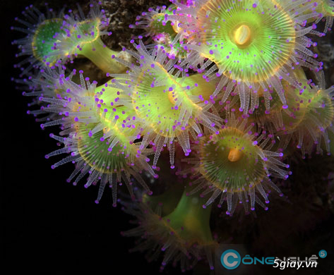 Làm gì để trở thành nhiếp ảnh gia và kiếm tiền trong 30 ngày - Phần 1 - 1171