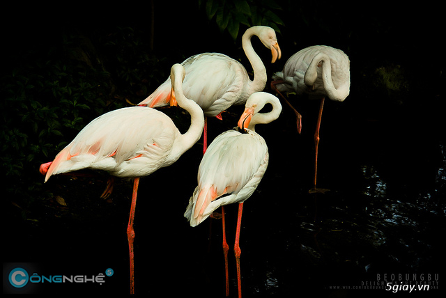 Làm gì để trở thành nhiếp ảnh gia và kiếm tiền trong 30 ngày - Phần 1 - 1148