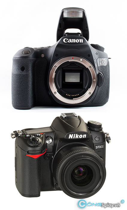 Làm gì để trở thành nhiếp ảnh gia và kiếm tiền trong 30 ngày - Phần 2 - 1180