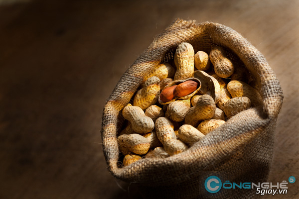 Làm gì để trở thành nhiếp ảnh gia và kiếm tiền trong 30 ngày - Phần 3 ( Ảnh sản phẩm ) - 1443