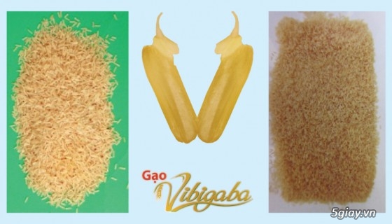 Gạo Vibigaba - Tinh hoa thực dưỡng! - 6