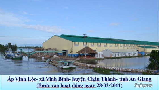 Đại lý gạo Thái Thông- Chuyên cung cấp gạo Vibigaba và gạo Vĩnh Bình. - 1