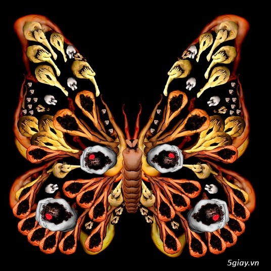 Ảnh sáng tạo cực độc đáo từ mẫu nude - 4108