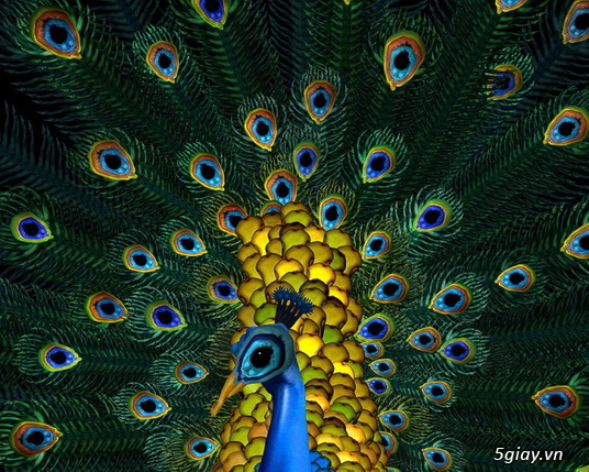 Ảnh sáng tạo cực độc đáo từ mẫu nude - 4112