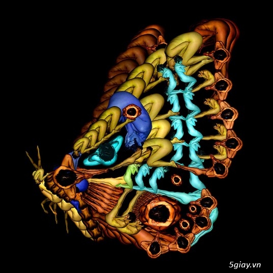 Ảnh sáng tạo cực độc đáo từ mẫu nude - 4116