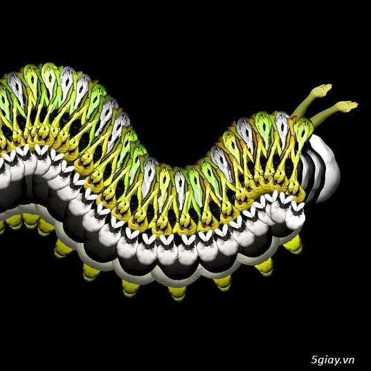 Ảnh sáng tạo cực độc đáo từ mẫu nude - 4117