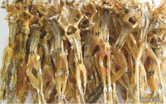 Đặc sản Khô cá lóc đồng, khô nhái đồng, khô rắn Campuchia. - 2