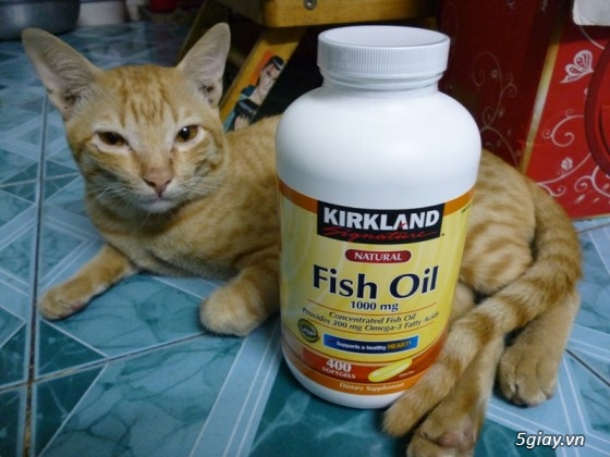 Kirkland Signature Omega-3 Fish Oil Concentrate 1000 mg Fish Oil with 30% Omega-3s