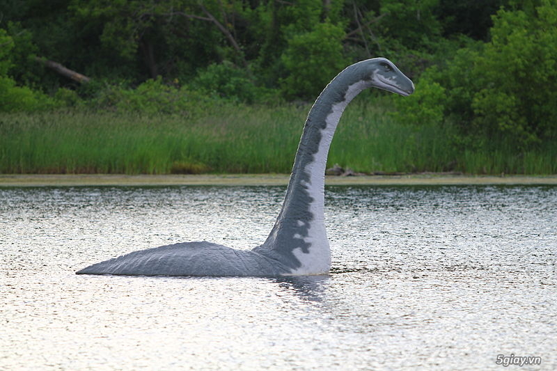 Apple Maps chụp được hình ảnh quái vật hồ Loch Ness