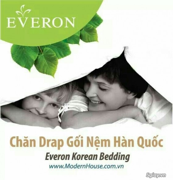 Nệm Everon giá tại kho chỉ có tại ModernHouse.com.vn - 1