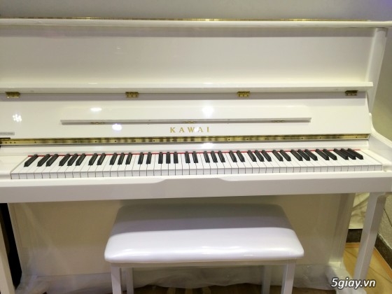 Chuyên cung cấp Piano Điện,Guitar thùng và Âm thanh nội địa Nhật Bản - 1