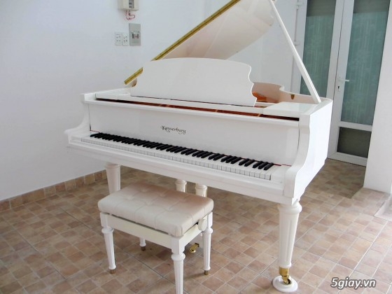 Chuyên cung cấp Piano Điện,Guitar thùng và Âm thanh nội địa Nhật Bản