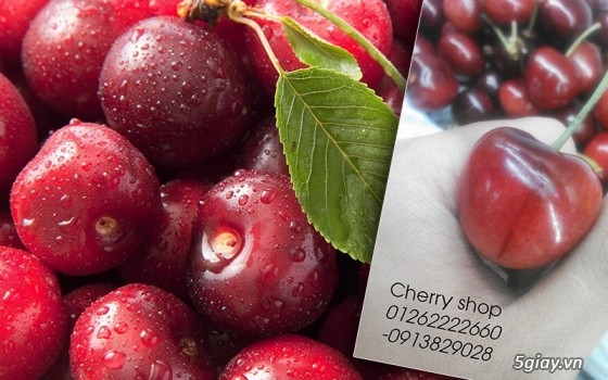 Cherry Shop: Cherry,KiWi,Táo,NHo,Lê các loại trái cây nhập khẩu giá tốt - 15