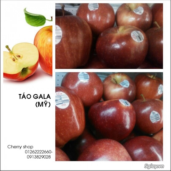 Cherry Shop: Cherry,KiWi,Táo,NHo,Lê các loại trái cây nhập khẩu giá tốt - 8