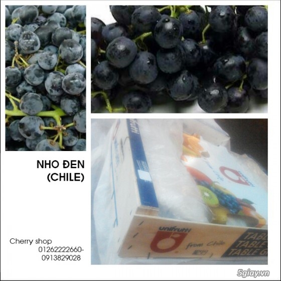 Cherry Shop: Cherry,KiWi,Táo,NHo,Lê các loại trái cây nhập khẩu giá tốt - 11