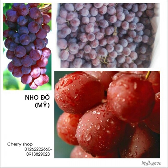 Cherry Shop: Cherry,KiWi,Táo,NHo,Lê các loại trái cây nhập khẩu giá tốt - 10