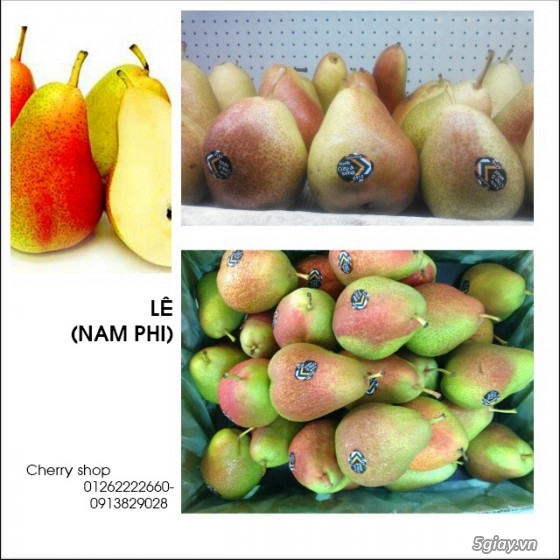Cherry Shop: Cherry,KiWi,Táo,NHo,Lê các loại trái cây nhập khẩu giá tốt - 12