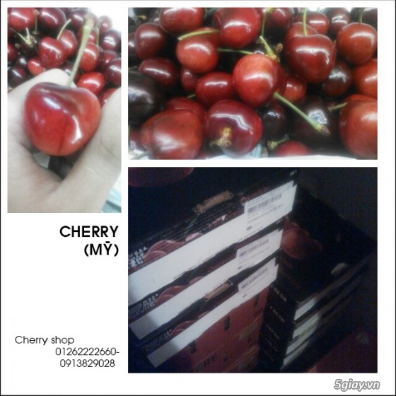 Cherry Shop: Cherry,KiWi,Táo,NHo,Lê các loại trái cây nhập khẩu giá tốt - 2