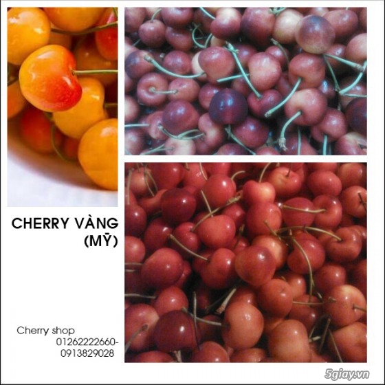 Cherry Shop: Cherry,KiWi,Táo,NHo,Lê các loại trái cây nhập khẩu giá tốt - 3
