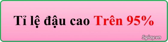 hoc lai xe oto o dau tot nhat tphcm