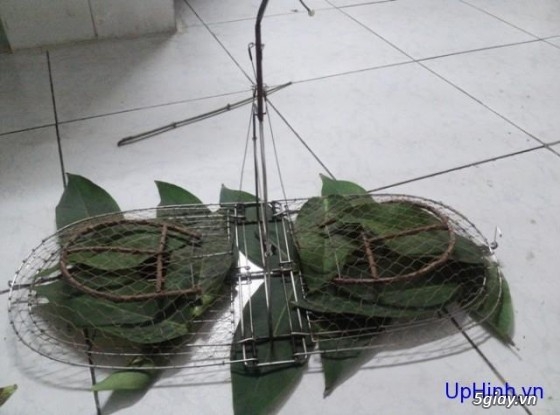 Cần mua lồng chim sâu cũ sll với lụp đa năng xài rồi - 1