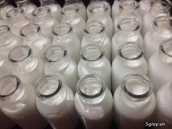 Sỉ lẽ sữa non, collagen, tắm trắng, kem trắng da body - 10