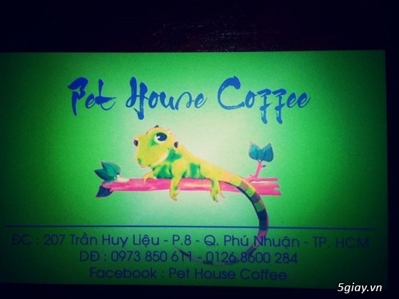 Pet House Coffee - Cafe thú cưng . Giá chỉ từ 15-30k