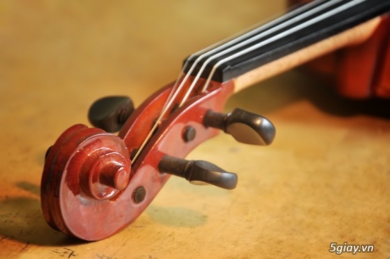 Nhận dạy Violin từ căn bản đến nâng cao cho mọi người - 16