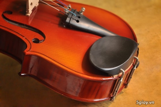 Nhận dạy Violin từ căn bản đến nâng cao cho mọi người - 15