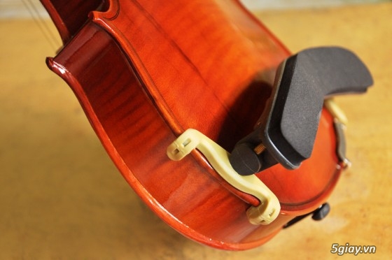 Nhận dạy Violin từ căn bản đến nâng cao cho mọi người - 13