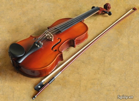 Nhận dạy Violin từ căn bản đến nâng cao cho mọi người - 11