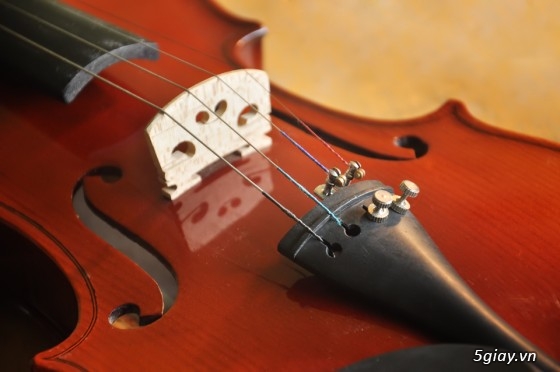 Nhận dạy Violin từ căn bản đến nâng cao cho mọi người - 14