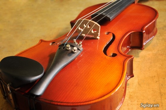 Nhận dạy Violin từ căn bản đến nâng cao cho mọi người - 12