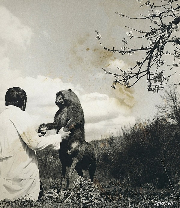 Bộ ảnh về những sinh vật chỉ có trong huyền thoại - 30571