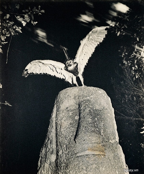 Bộ ảnh về những sinh vật chỉ có trong huyền thoại - 30573