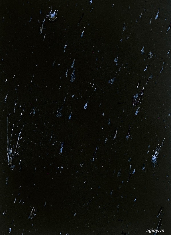 Bộ ảnh về những sinh vật chỉ có trong huyền thoại - 30575