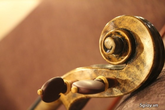 Nhận dạy Violin từ căn bản đến nâng cao cho mọi người