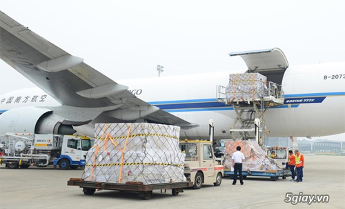 Nhân viên vận chuyển khoe ảnh chụp bên 195.000 chiếc iPhone 6 - 35079