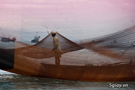 Những bức ảnh Việt đoạt giải cao trong cuộc thi ảnh Sony World Photography 2015 - 36807