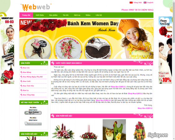 thietkewebchuyennghiep.com.vn - thiết kế web chuyên nghiệp uy tín chất lượng - 3