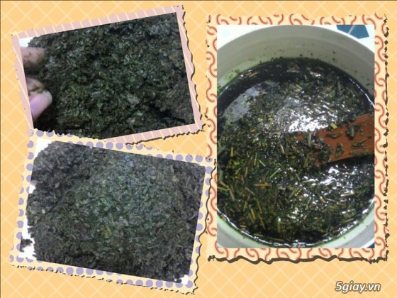 Trà sữa thái lan chai thủy tinh -yaourt trà xanh phô mai-yaourt trà thái