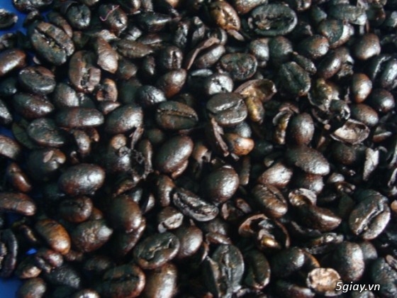 Chuyên cung cấp cà phê hạt rang nguyên chất cho các Quán cafe giá sĩ - 2