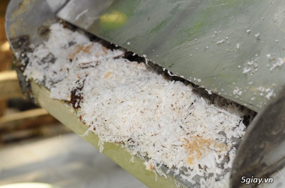 DẦU DỪA NGUYÊN CHẤT 100% được làm bởi các hộ nghèo tỉnh BẾN TRE - 13