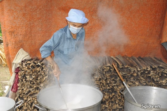 DẦU DỪA NGUYÊN CHẤT 100% được làm bởi các hộ nghèo tỉnh BẾN TRE - 18