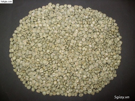 Chuyên cung cấp cà phê hạt rang nguyên chất cho các Quán cafe giá sĩ - 3